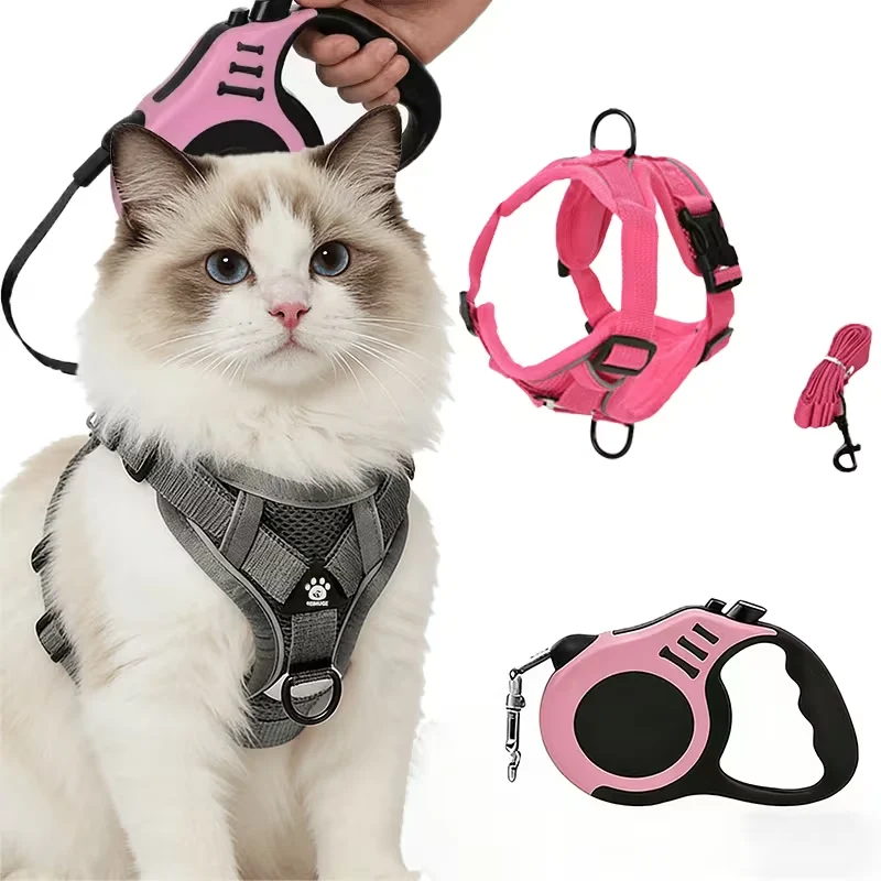 cat harness leash