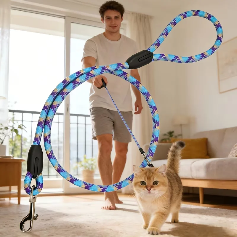 Cat Leash Training