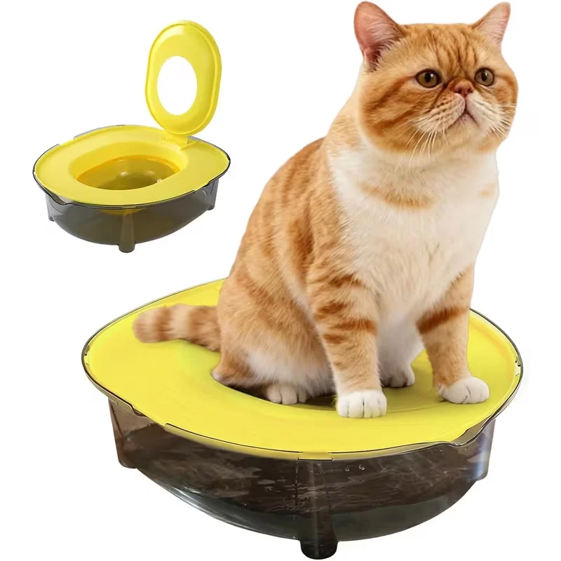 cat litter tray