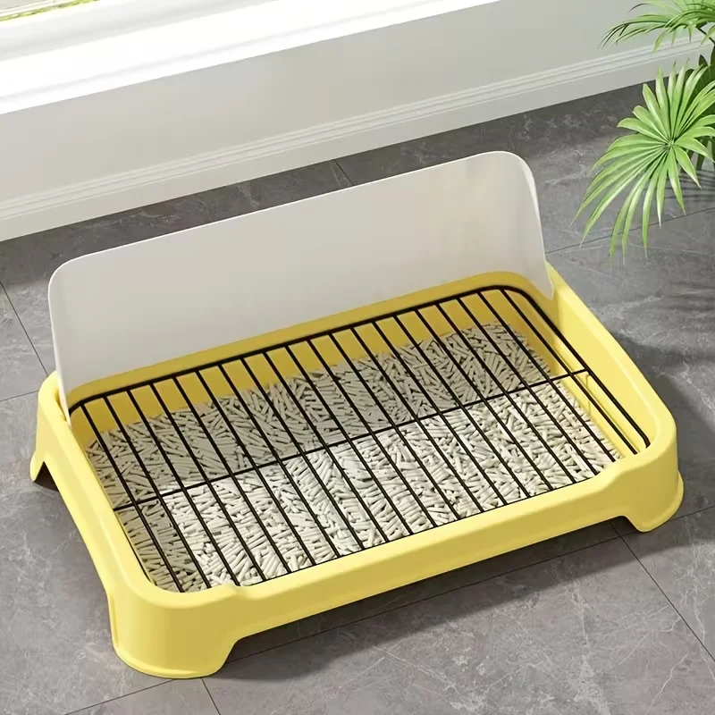 cat sifting litter tray