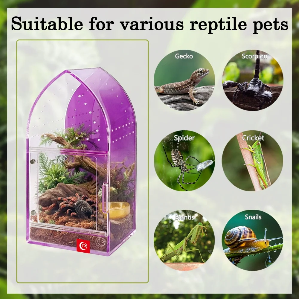 front opening reptile tank