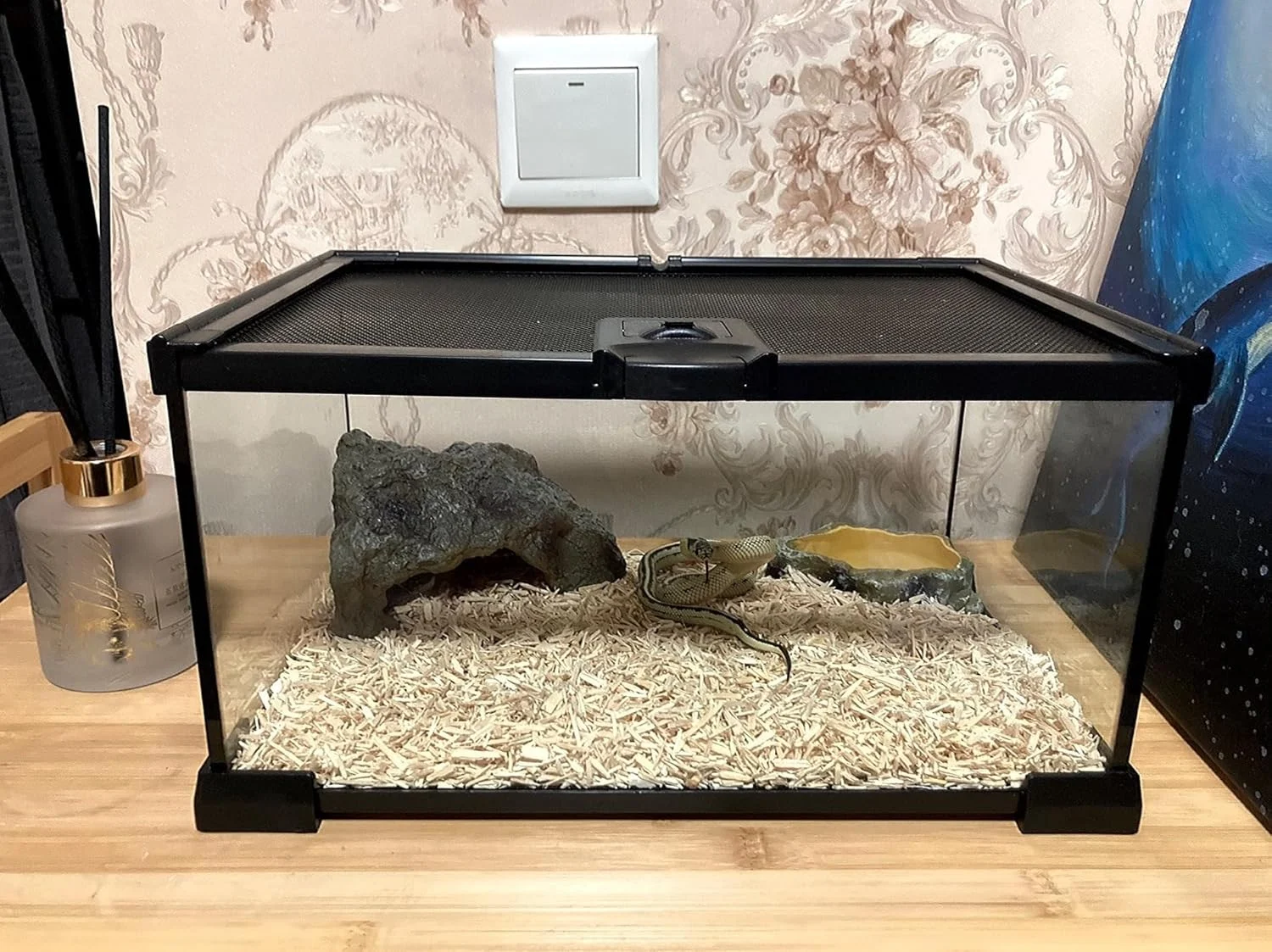 glass reptile enclosure