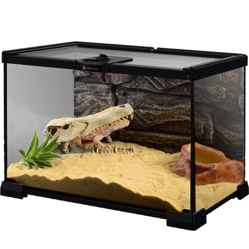 glass reptile enclosure