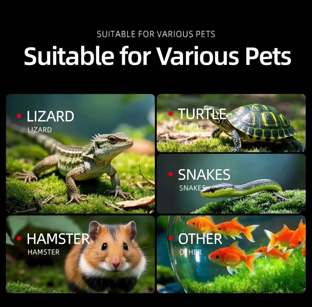 glass reptile enclosure