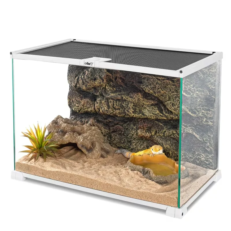 glass reptile terrarium