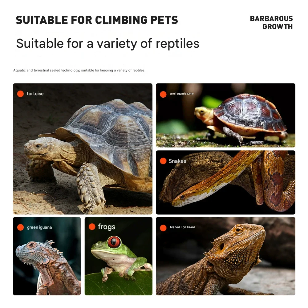glass tank reptiles