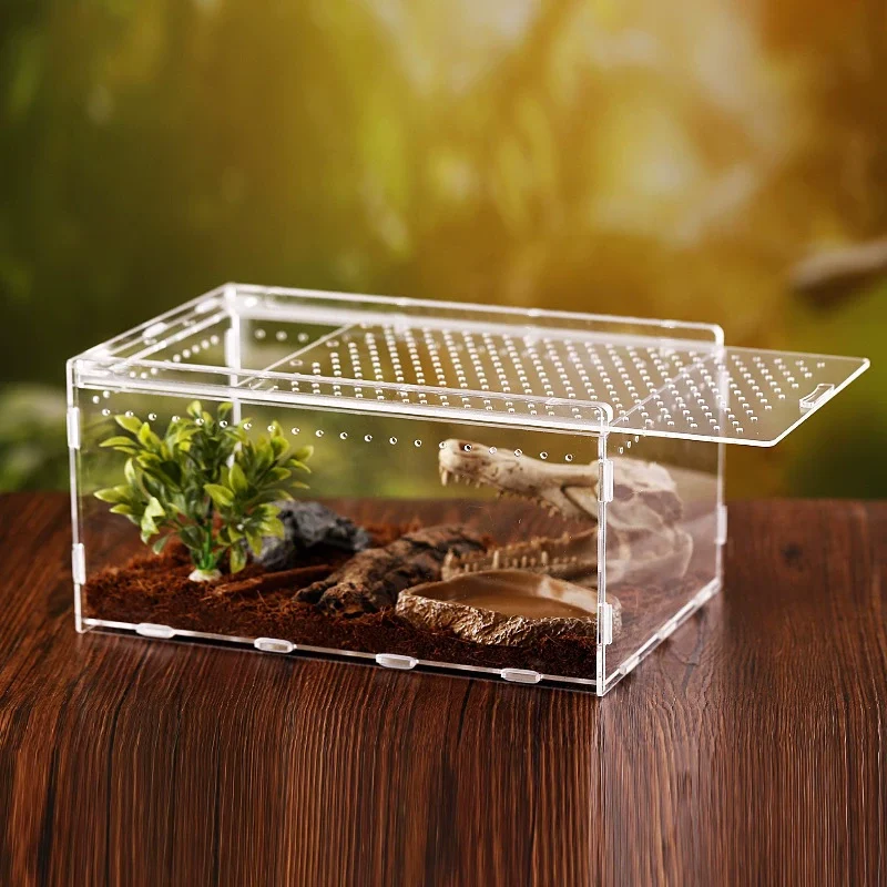 iguana reptile cage
