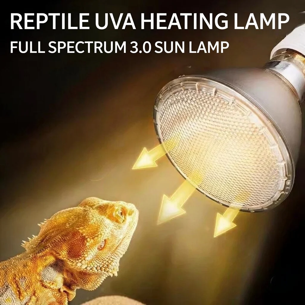 lizard heat lamp