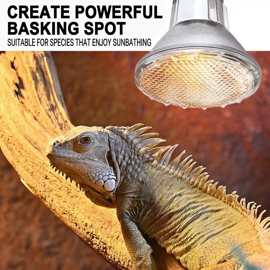 lizard heat lamp