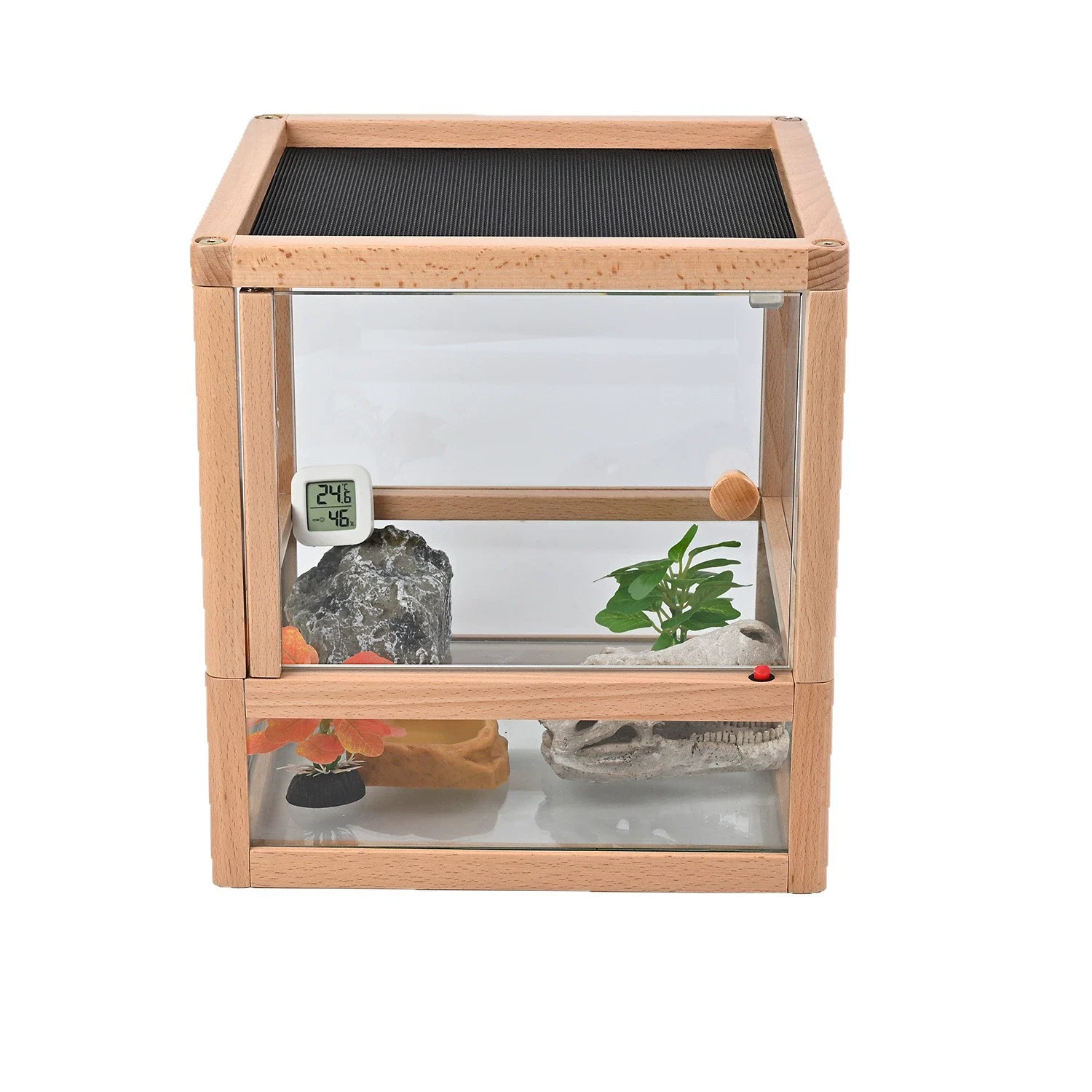 reptile cages bearded dragon