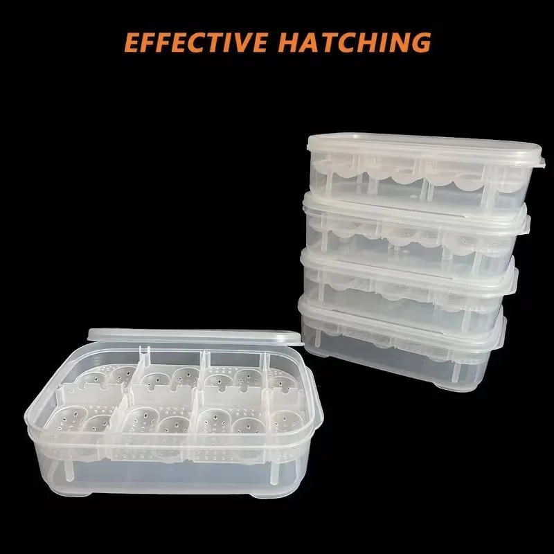 reptile egg incubator