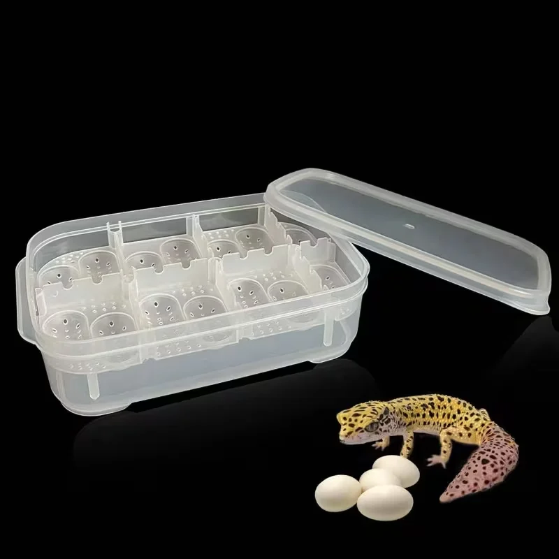 reptile egg incubator