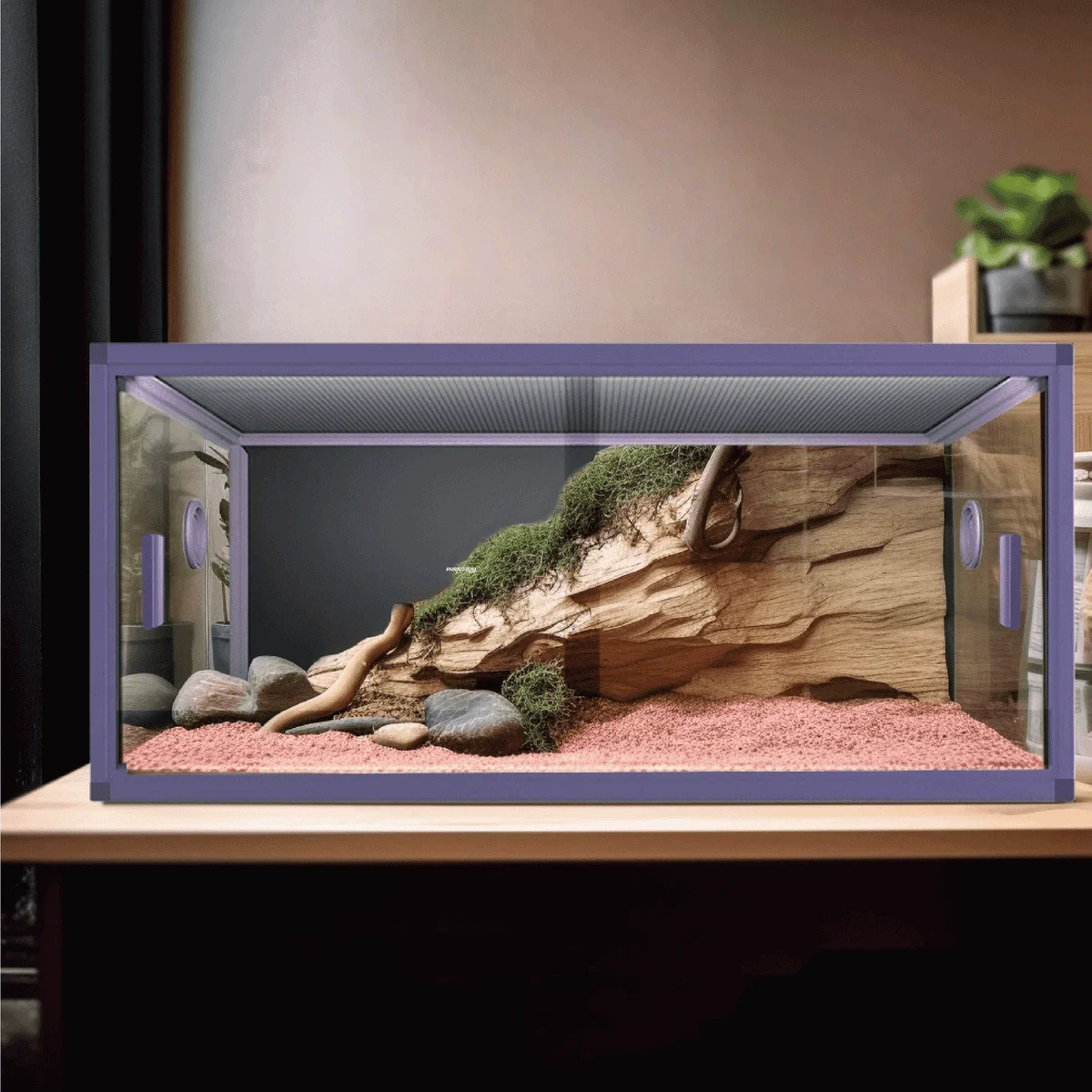 reptile enclosures