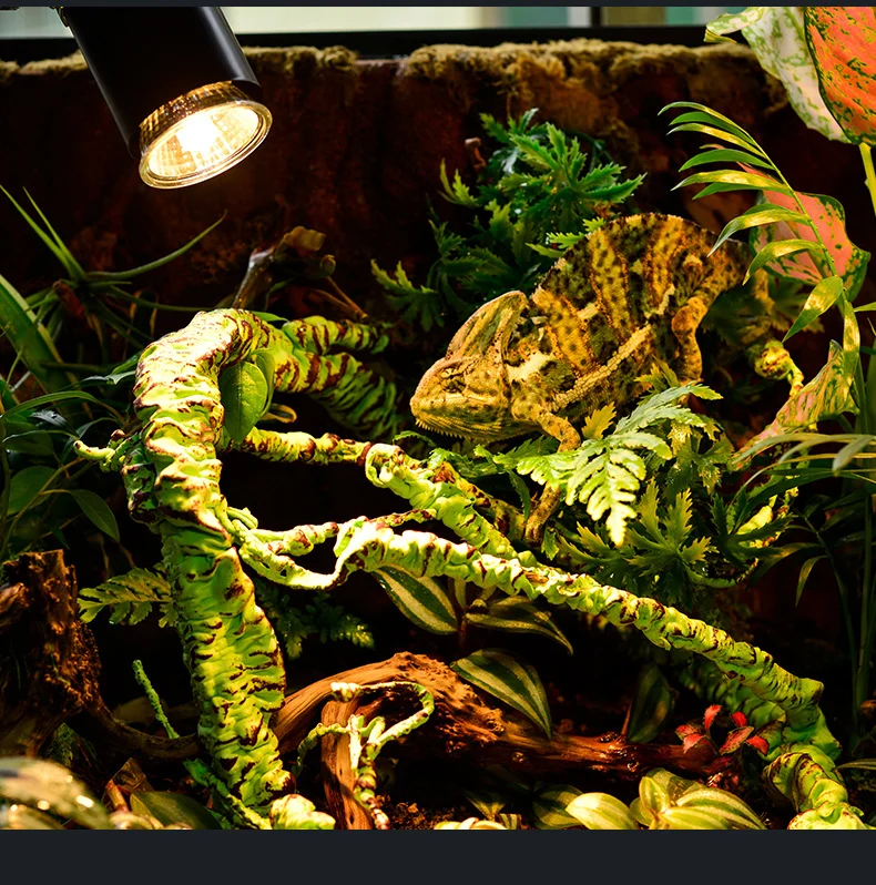 reptile heat bulb
