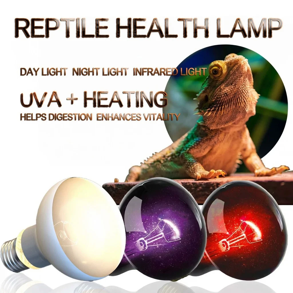 reptile heat lamp
