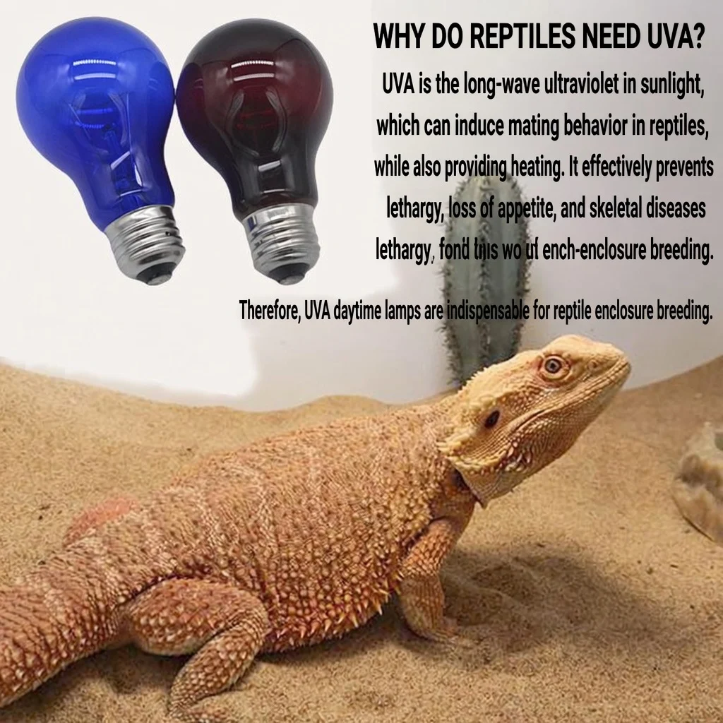 reptile heat light