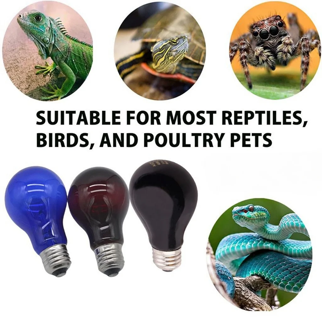 reptile heat light