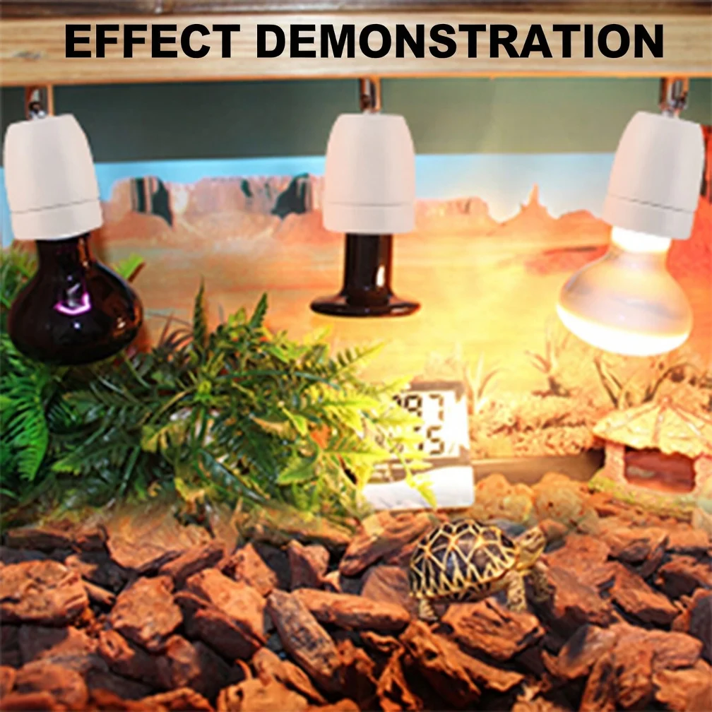 reptile heat light bulb