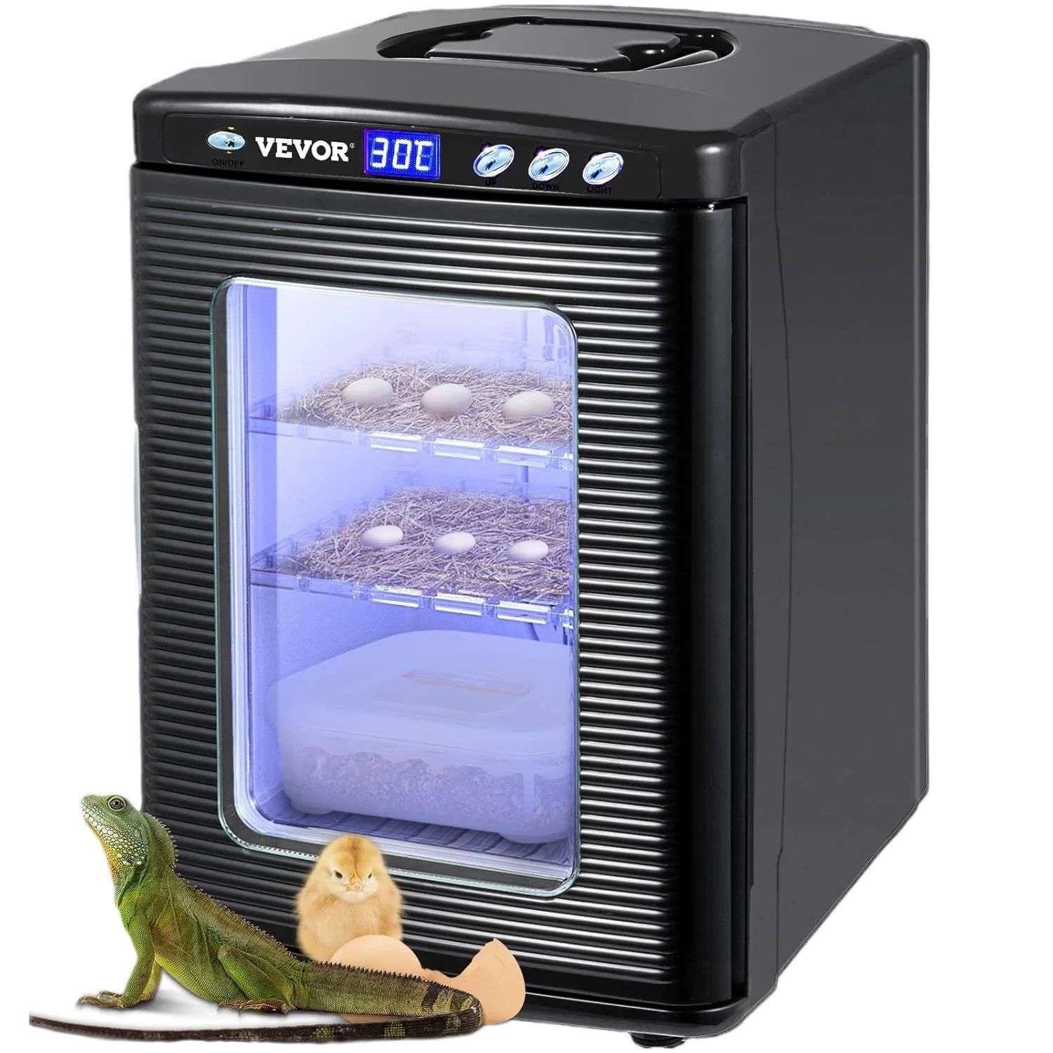 reptile incubator