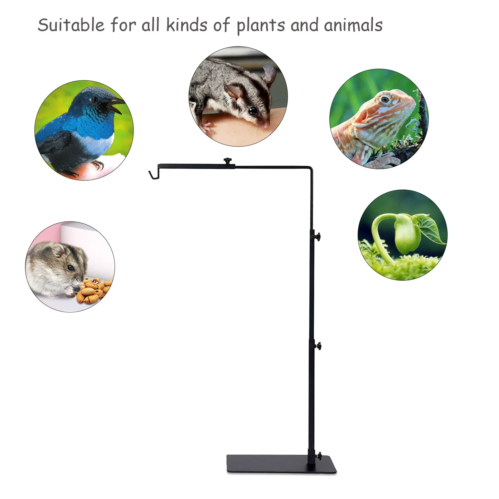 reptile lamp fixture