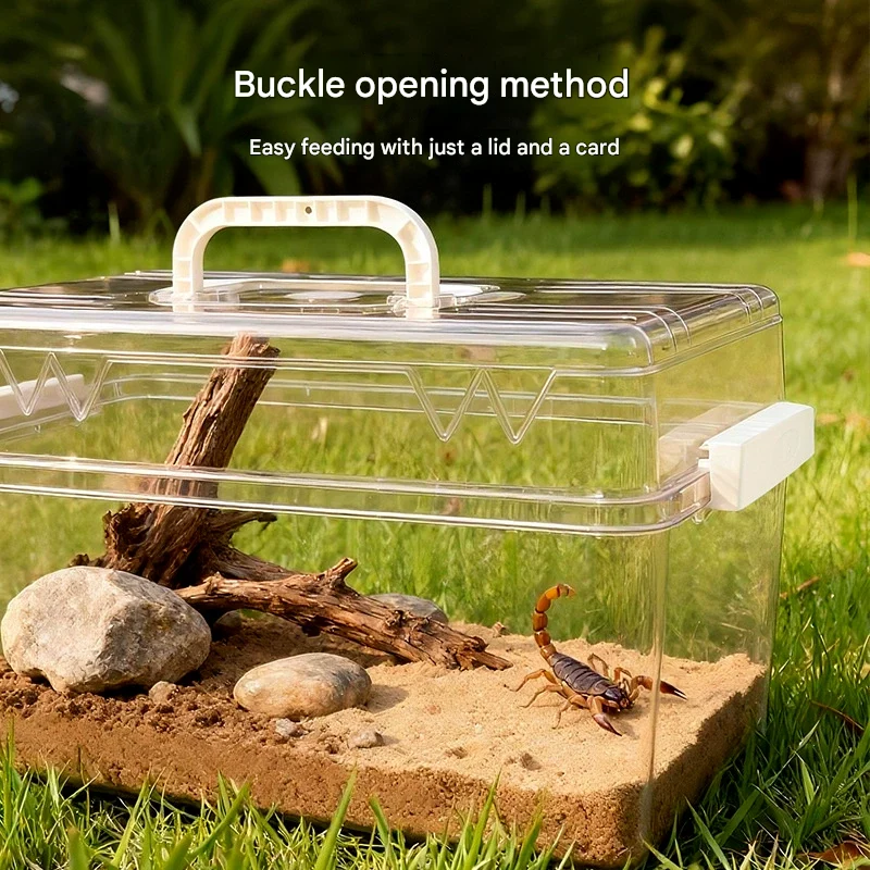 reptile tank