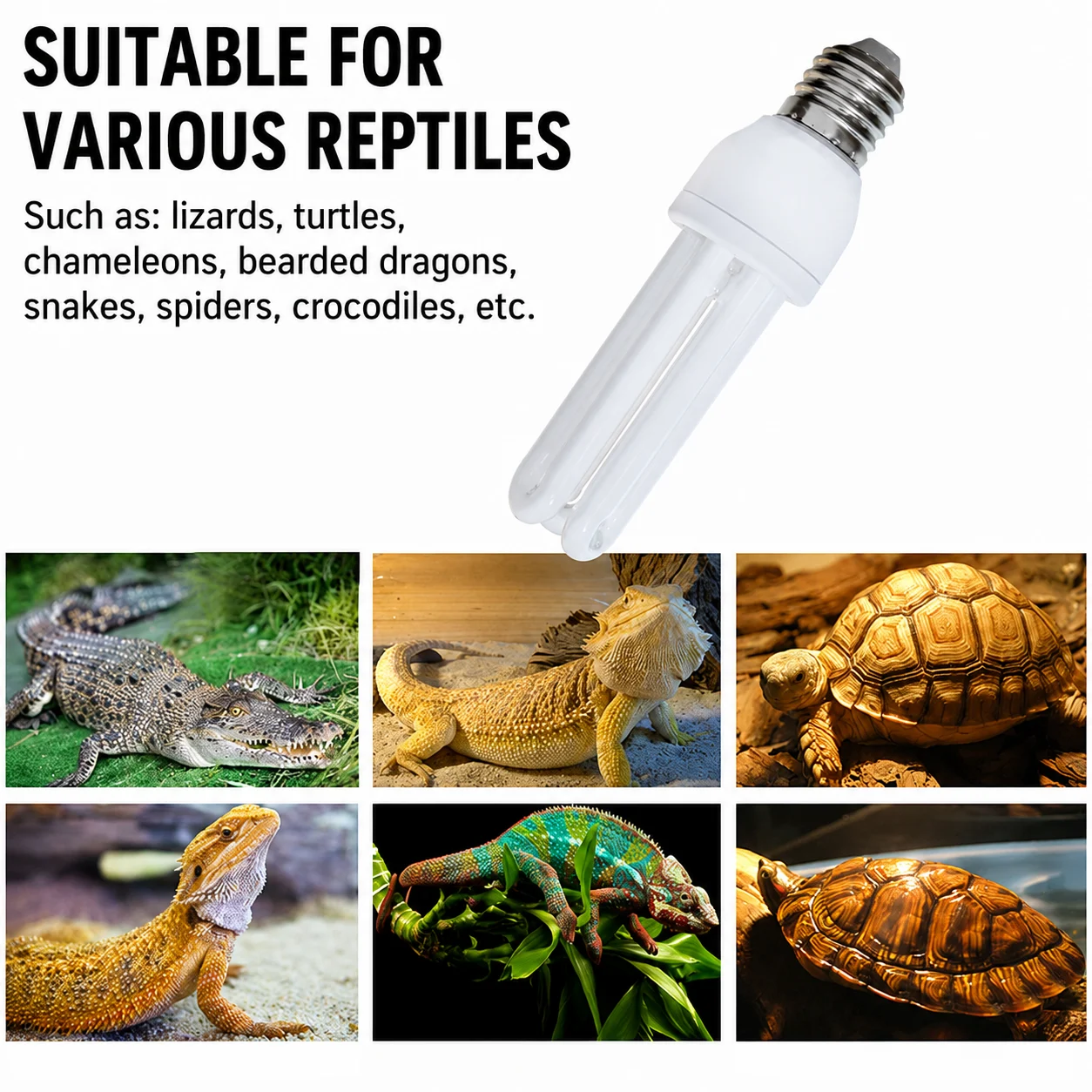 reptile uv light