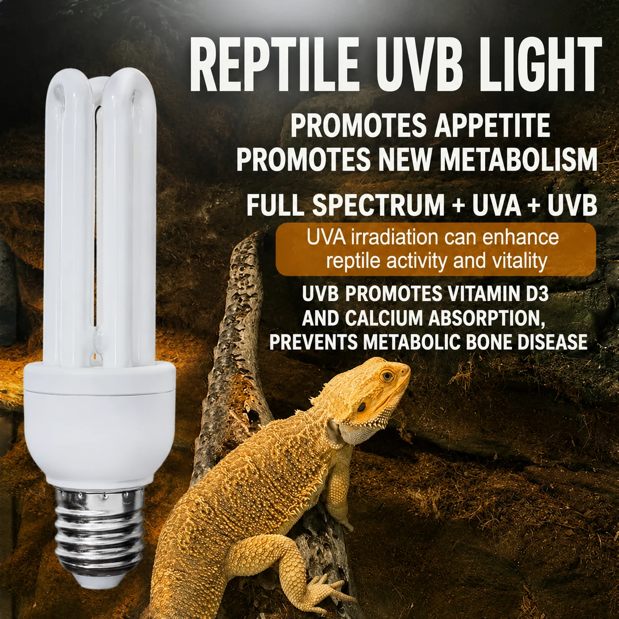 reptile uv light