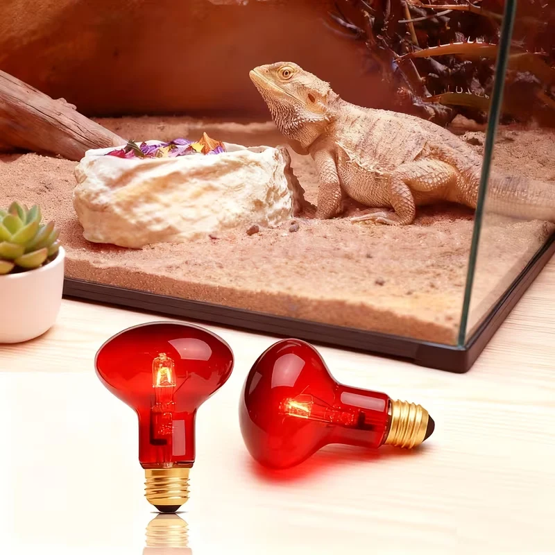 reptile uva light