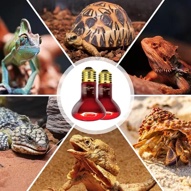 reptile uva light