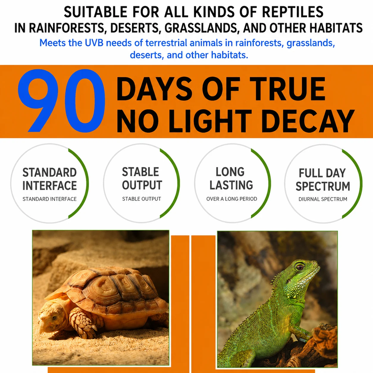 reptile uvb bulb