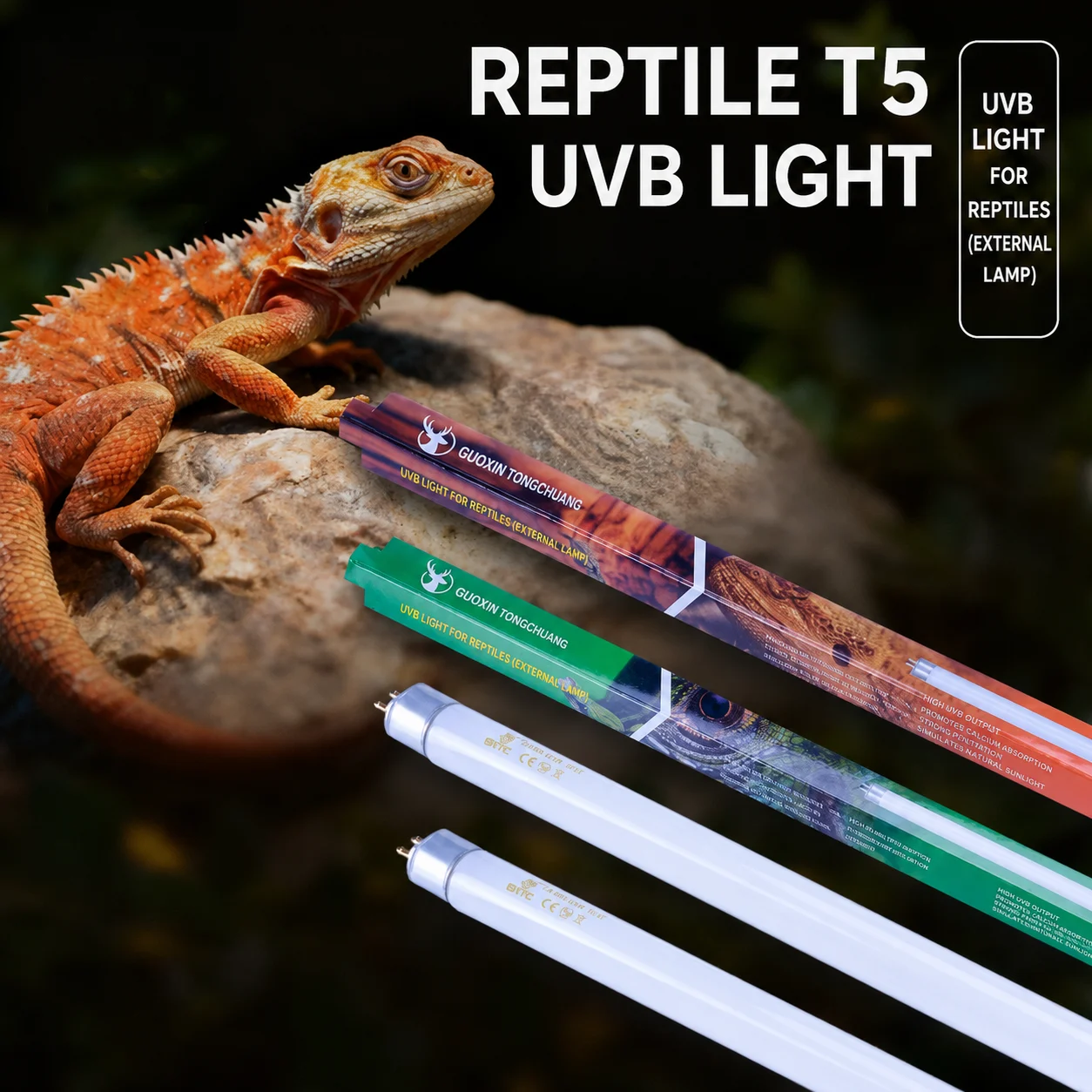 reptile uvb light