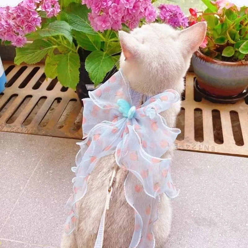 small cat harness