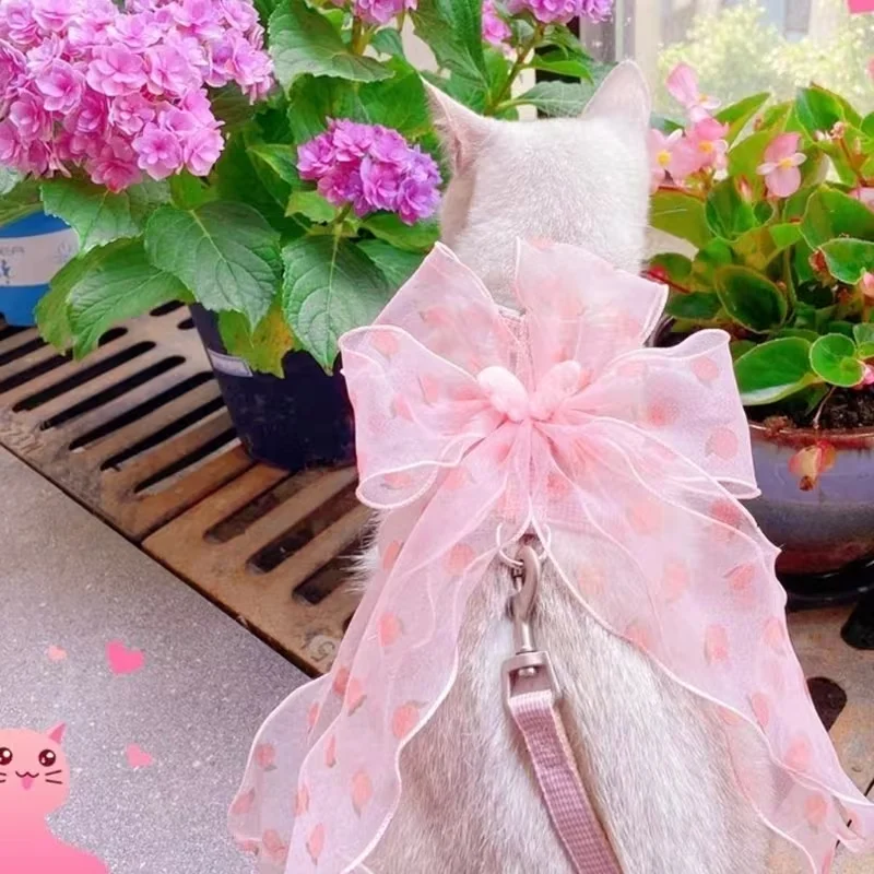 small cat harness
