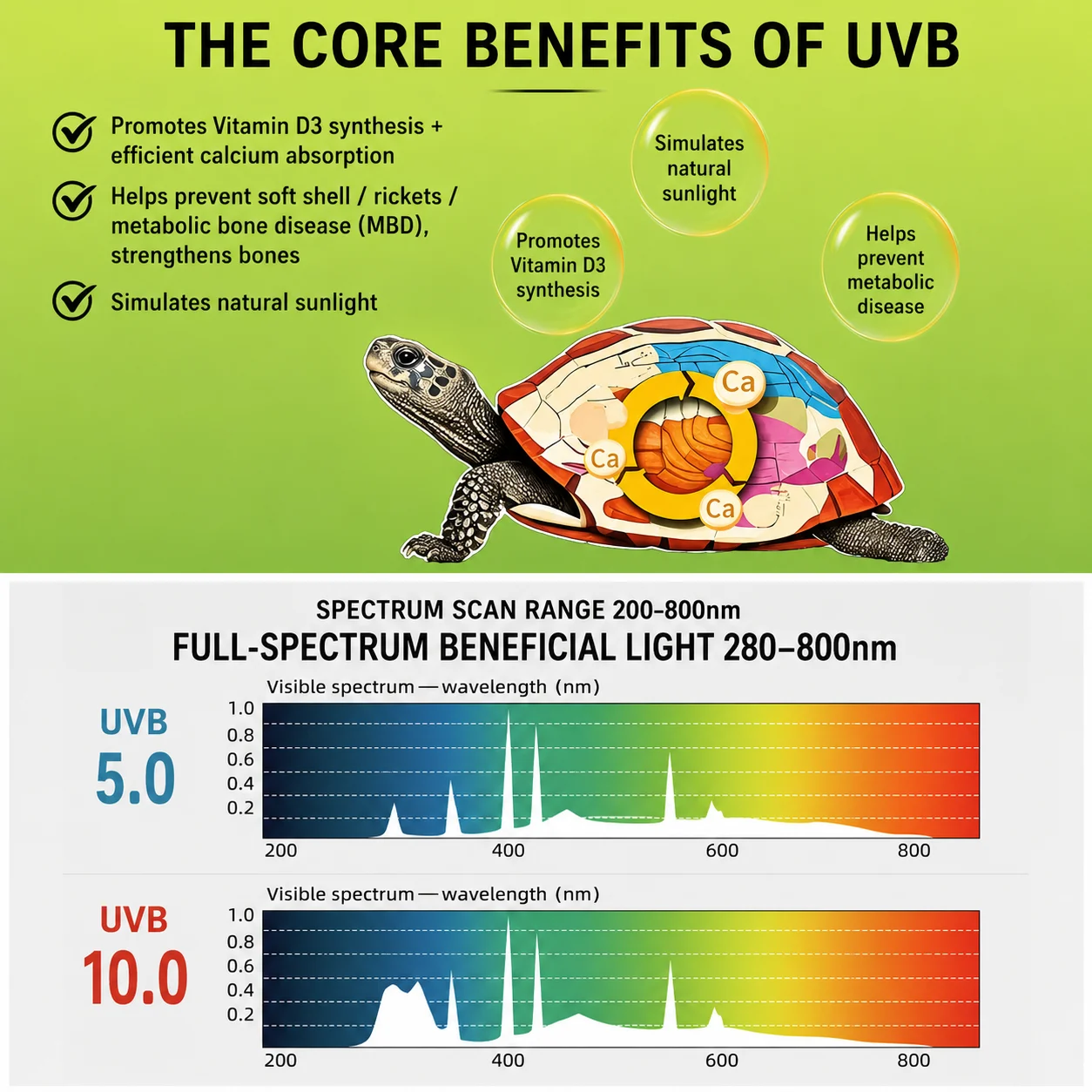 uvb light for bearded dragon