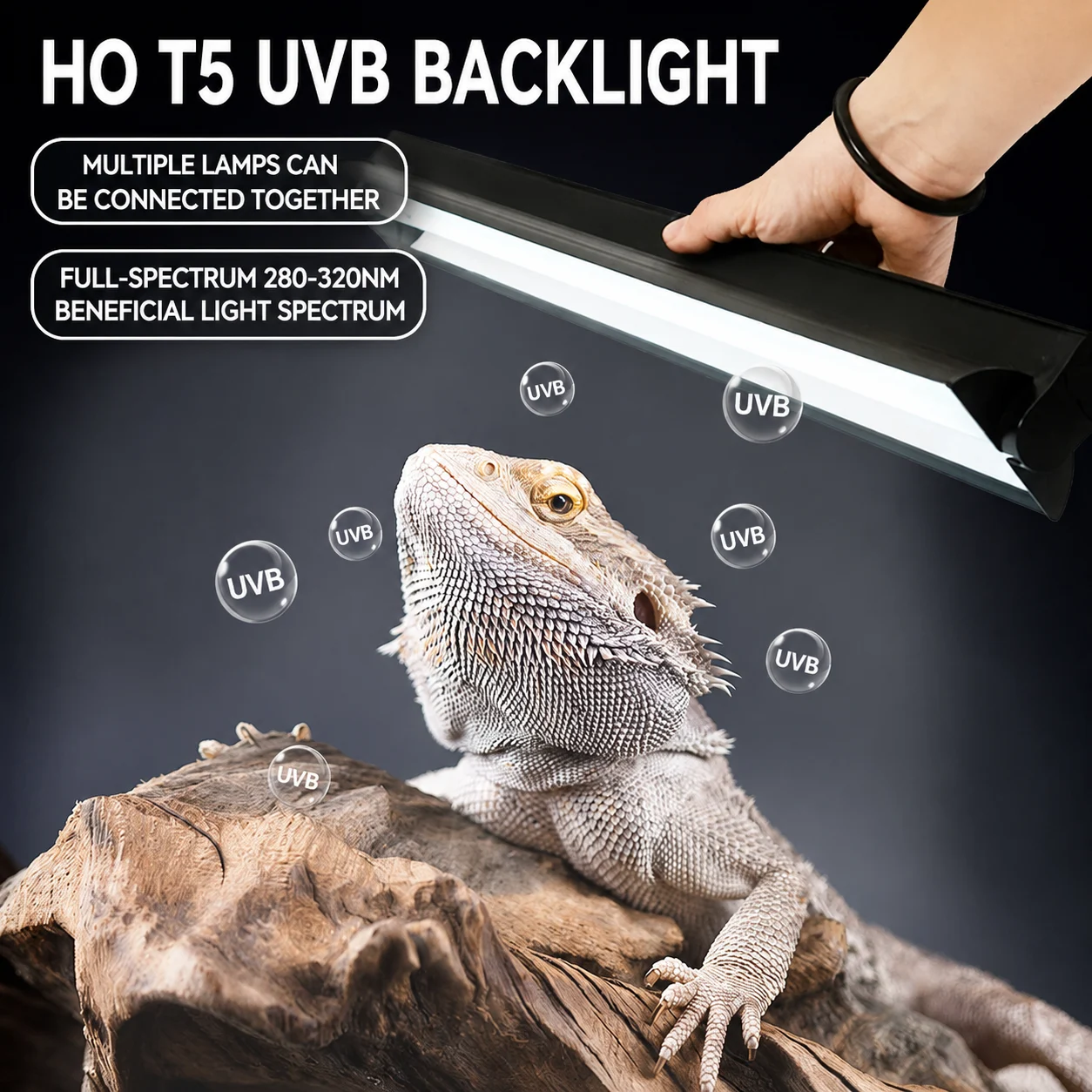 uvb light for bearded dragon