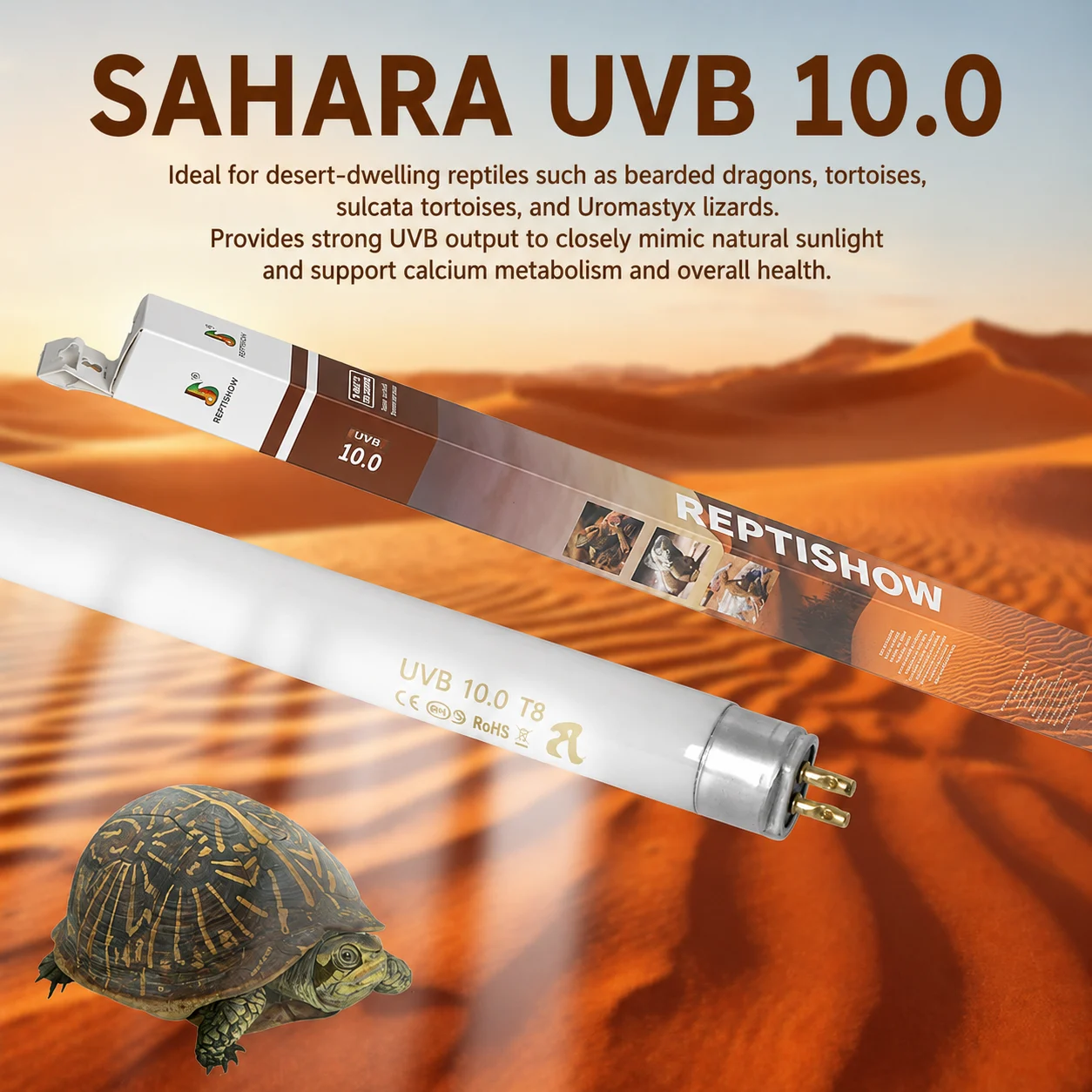 uvb light for bearded dragon