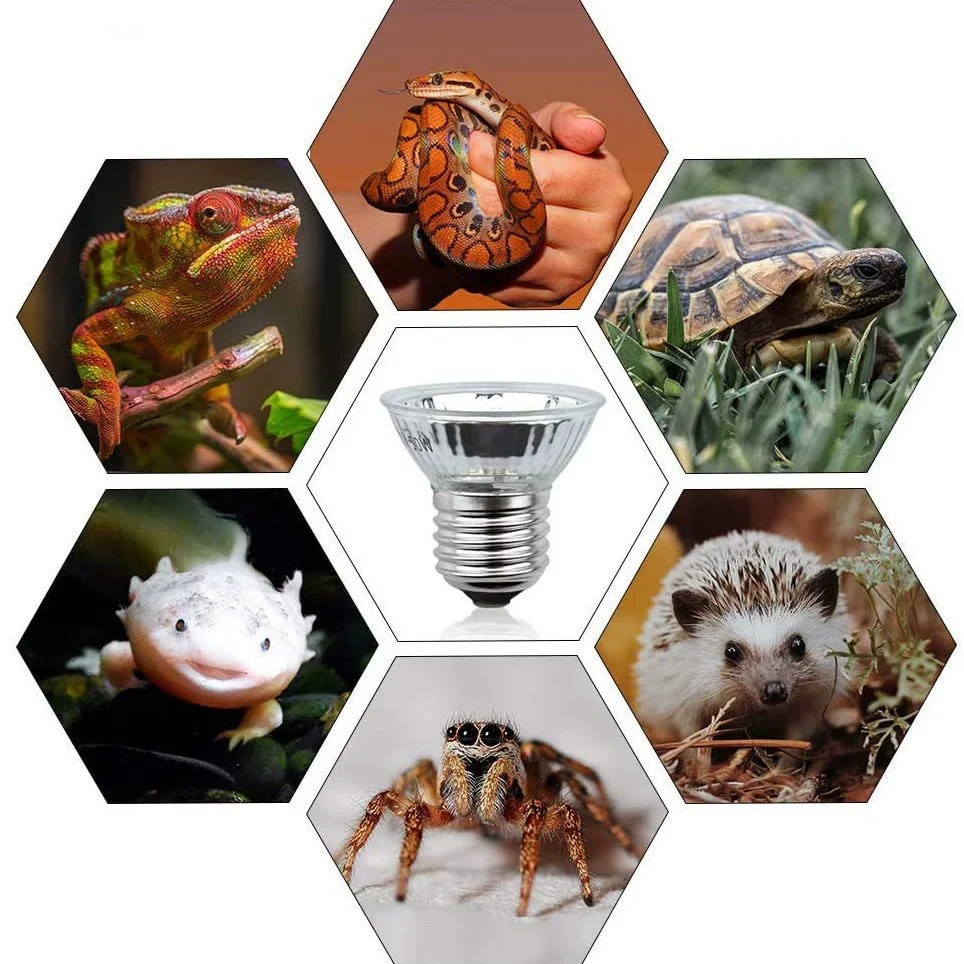 uvb light for turtles
