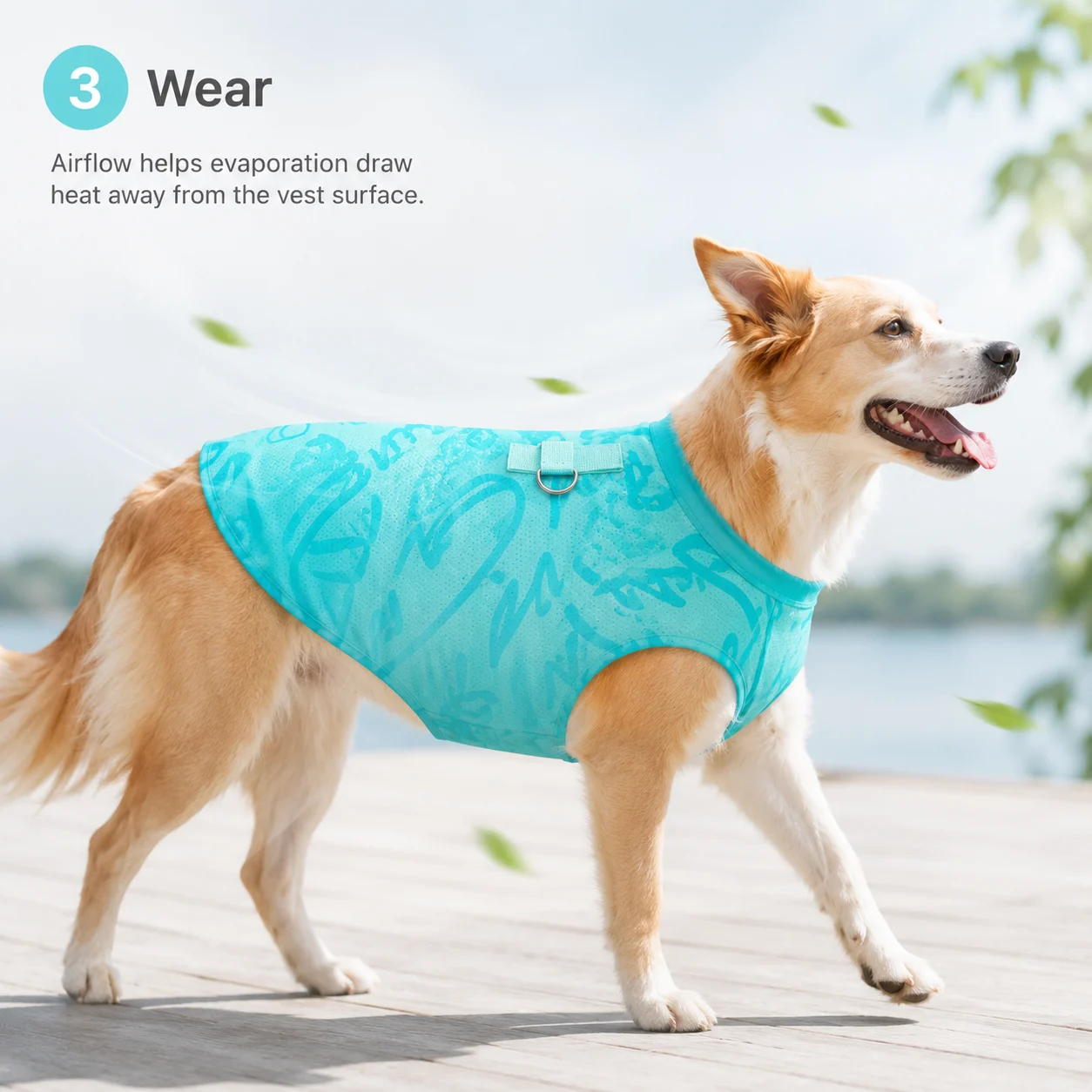 Step 3 wear Cooling Dog Vest during supervised outdoor activity