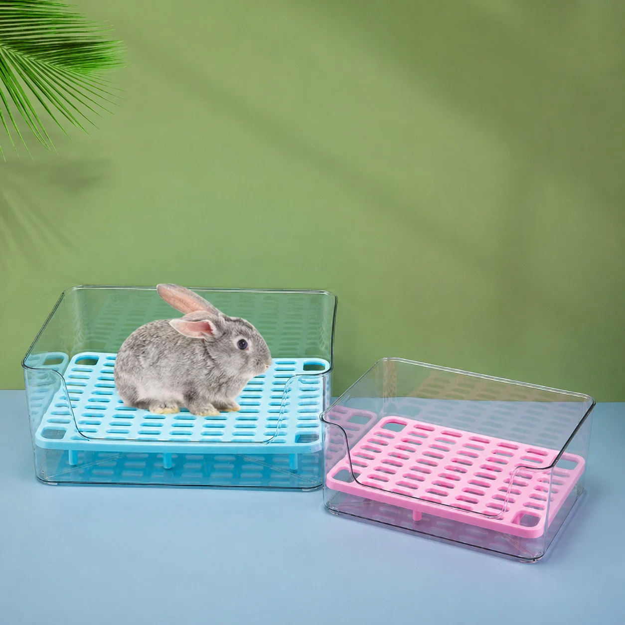 Litter Box Rabbit