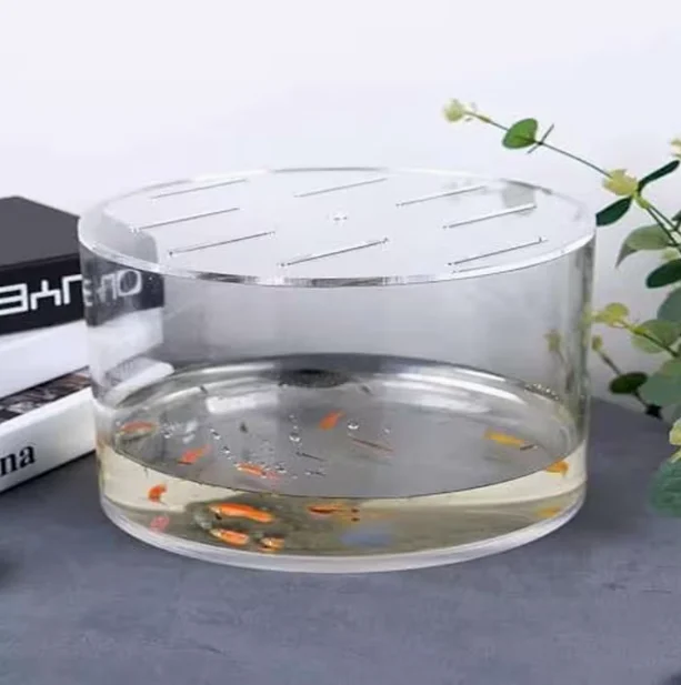 Reptile Tank Lid
