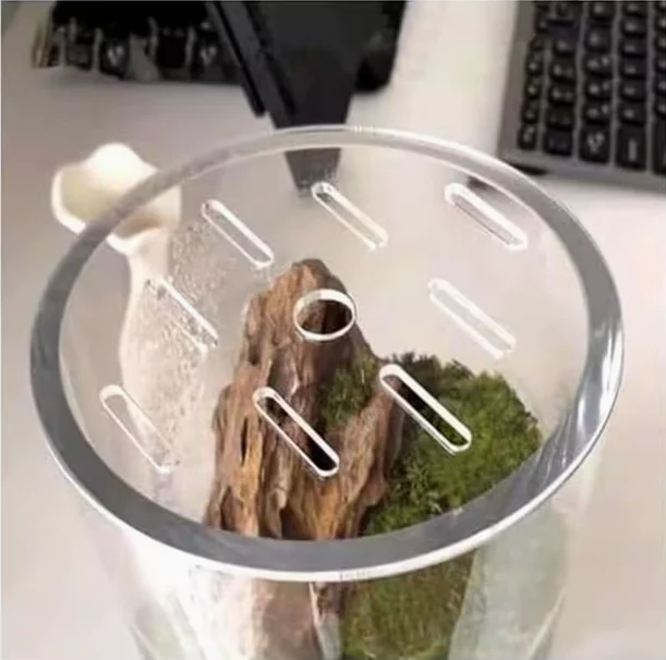 Reptile Tank Lid