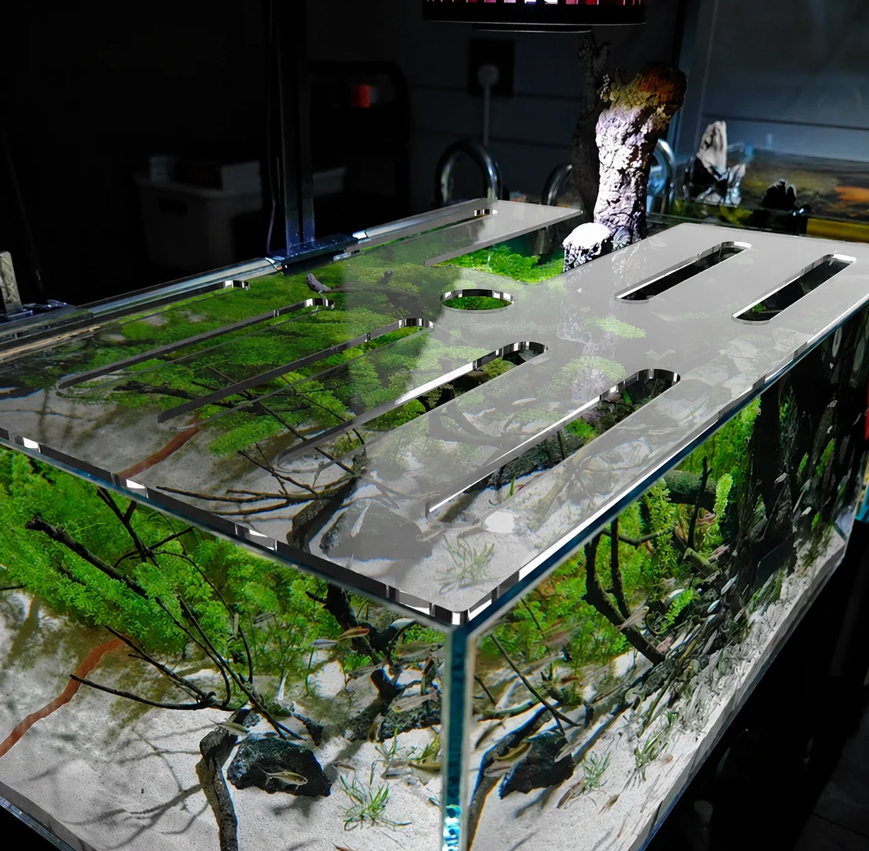 Turtle Tank Lid