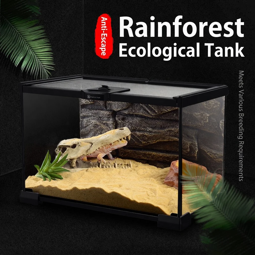 gecko starter kit