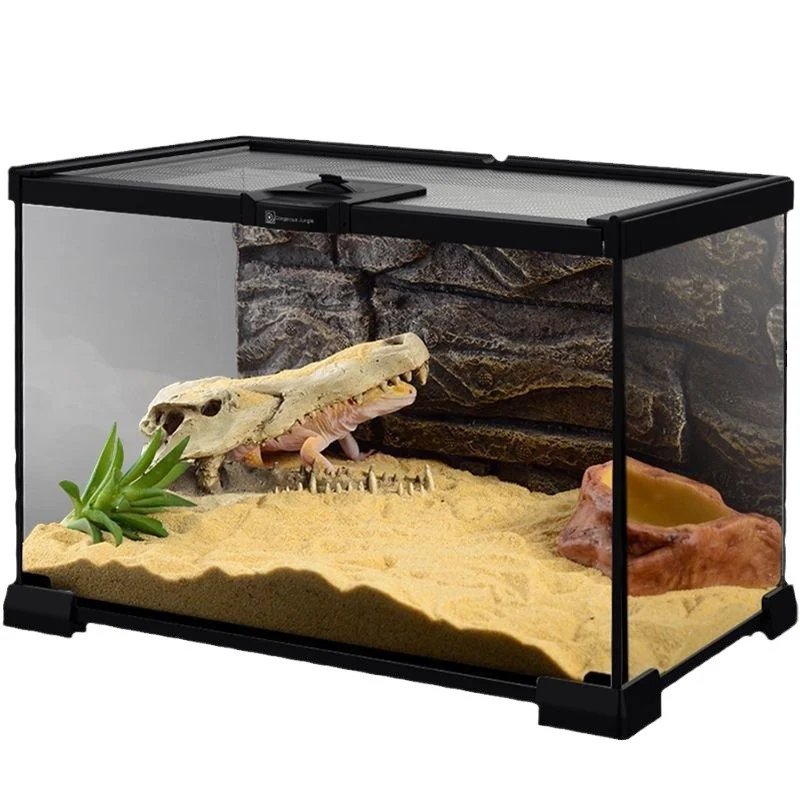 gecko starter kit