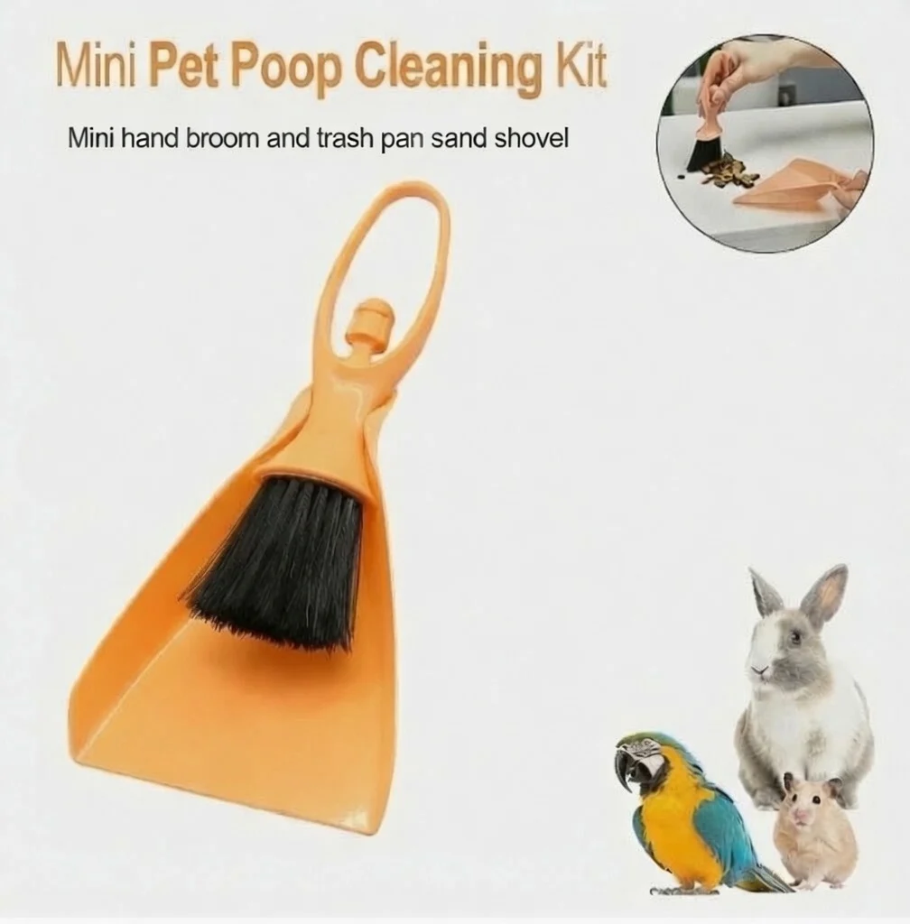 Mini Dustpan And Brush