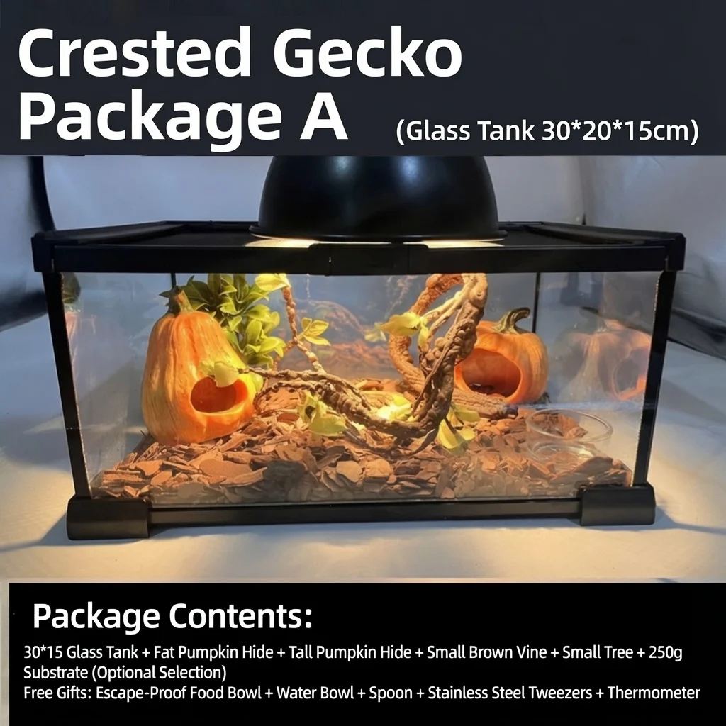 leopard gecko starter kit