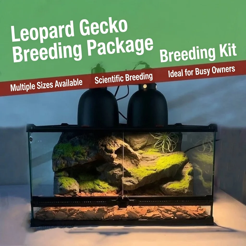 leopard gecko starter kit