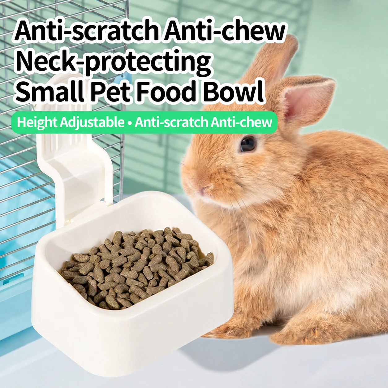 rabbit food bowl