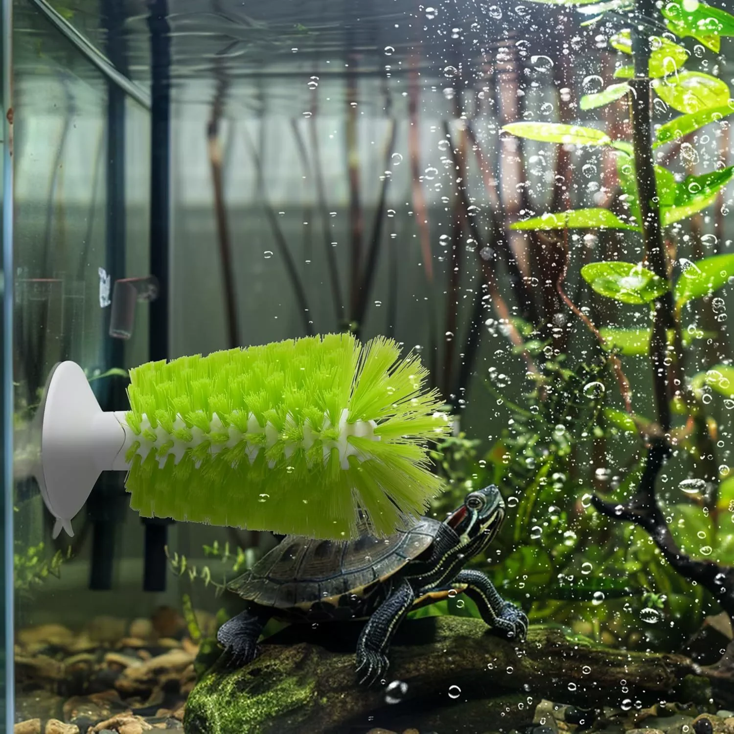 reptile cleaning supplies