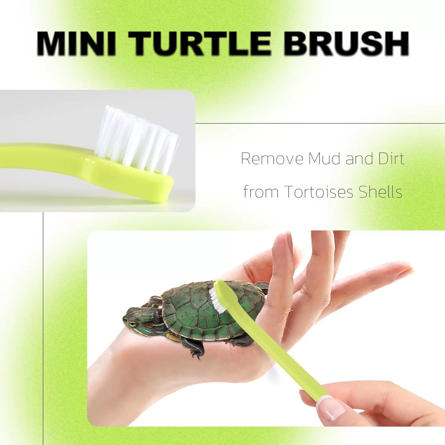 reptile cleaning supplies